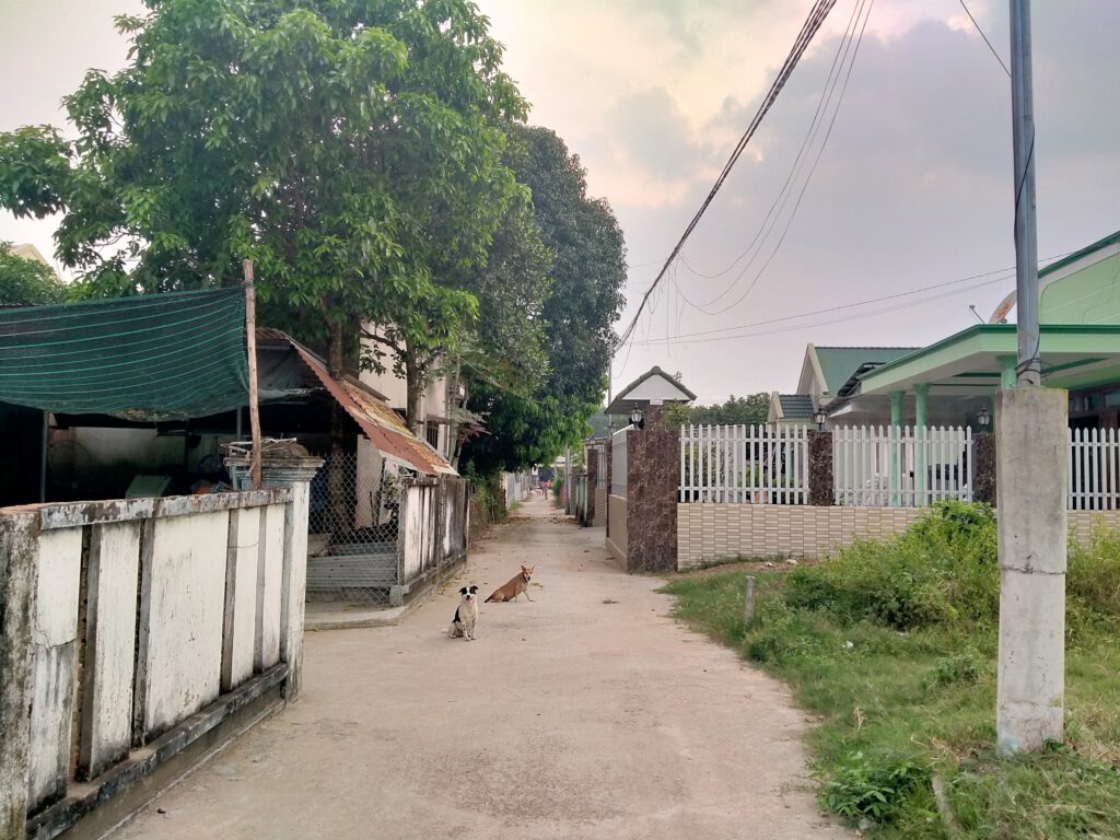 z3007358650926 53f3fa635d8aafd1ea44b934e57c1000